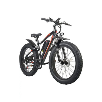 Electric Mobility