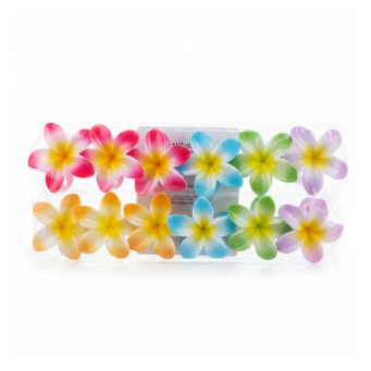 Hair Accessories